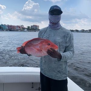 Meet your Posher, Dee